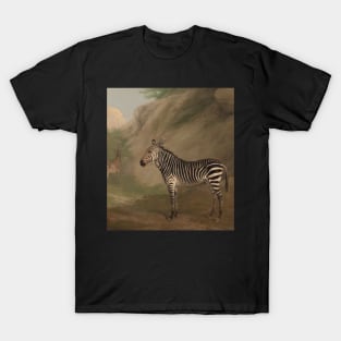 Zebra by Jacques-Laurent Agasse T-Shirt